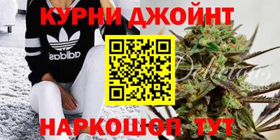 крисы Будённовск