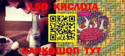 крисы Будённовск