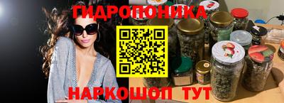 крисы Будённовск