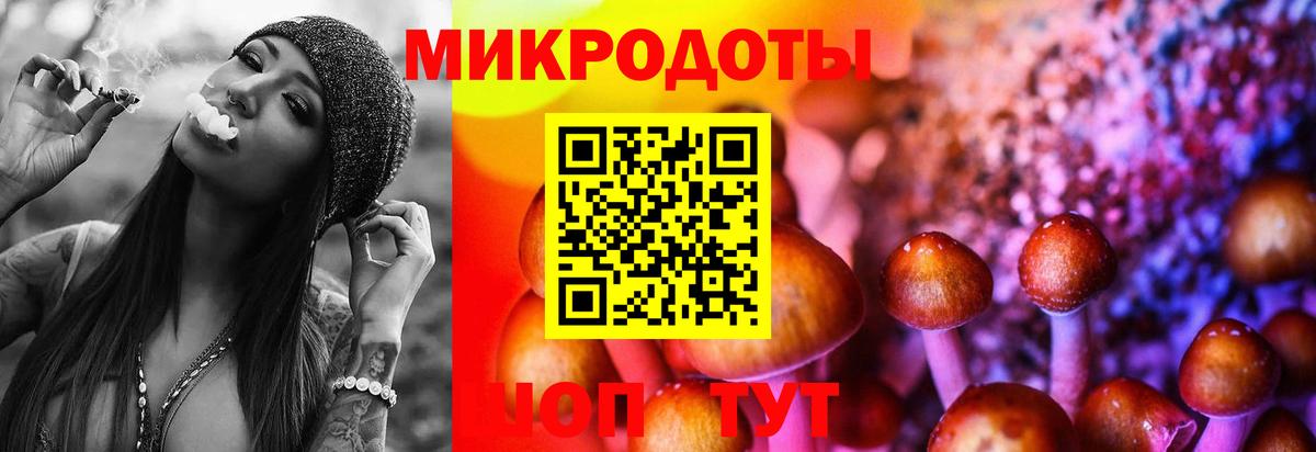 Таганрог  Галлюциногенные грибы Psilocybine cubensis  Вход с VPN  Галлюциногенные грибы ЛСД 